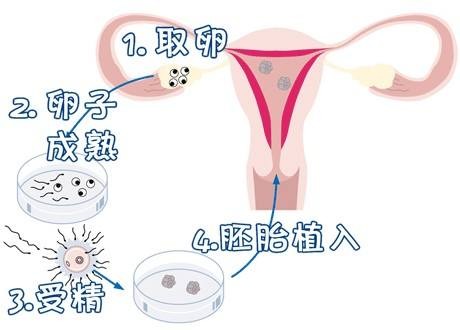 男科专家